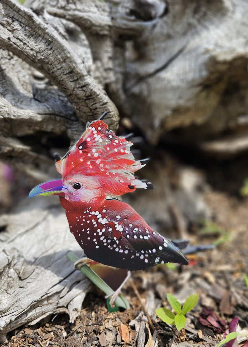 Garden Art (small) - Freedom Song Bird 