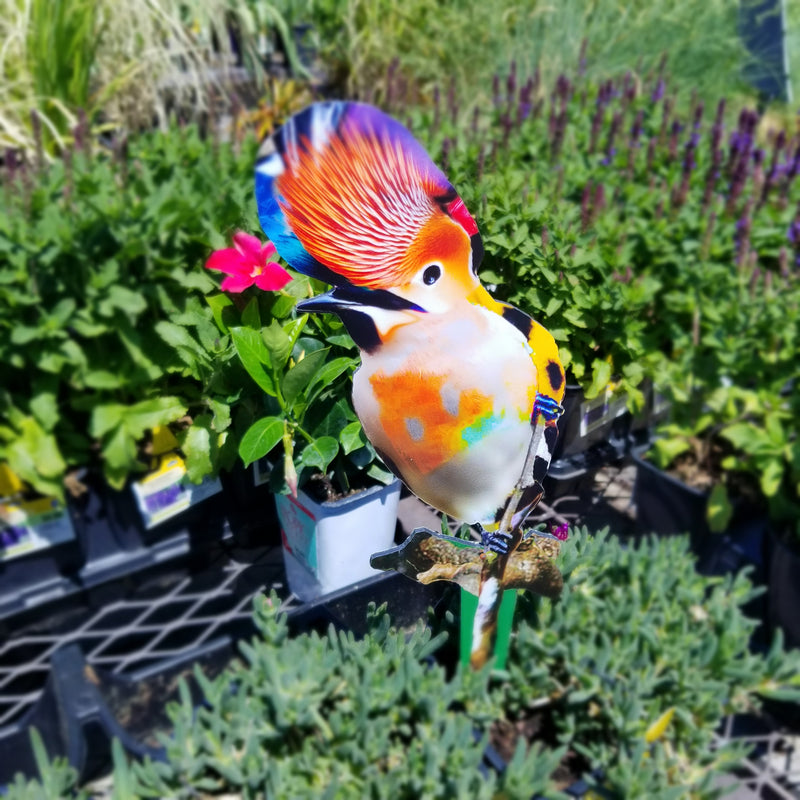 Garden Art (small) - Freedom Song Bird 