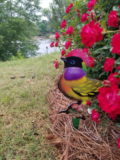 Garden Art (small) - Freedom Song Bird #2