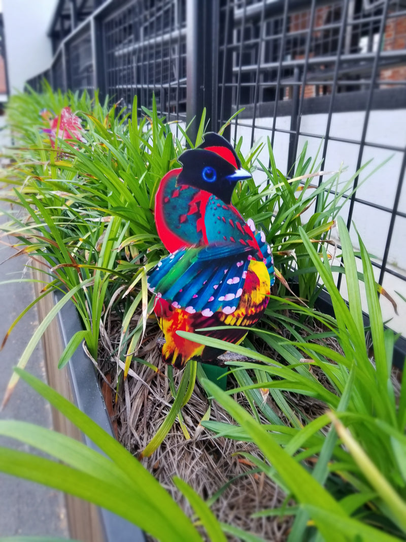 Garden Art (small) - Freedom Song Bird 