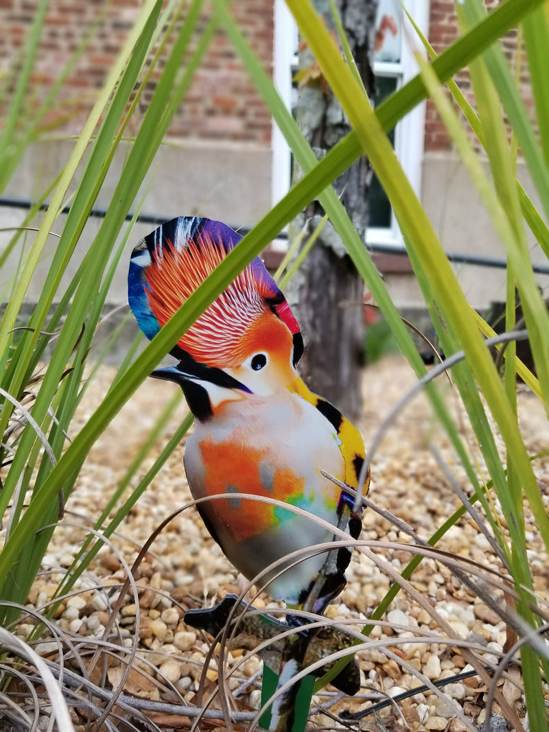 Garden Art (small) - Freedom Song Bird 