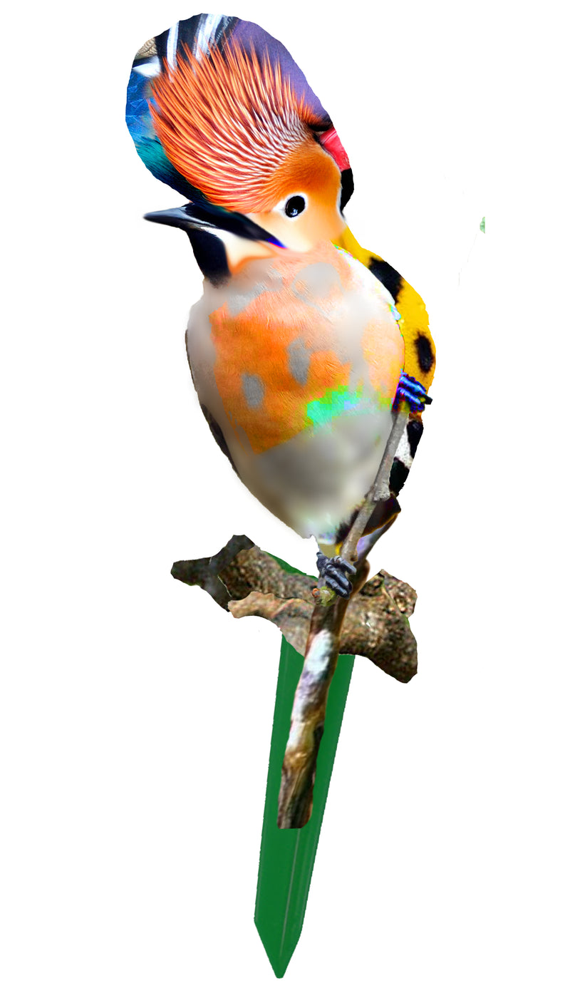 Garden Art (small) - Freedom Song Bird 