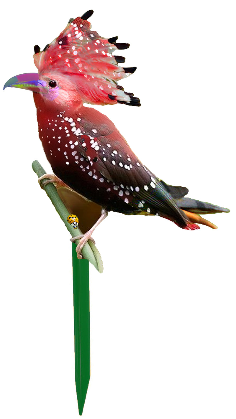 Garden Art (small) - Freedom Song Bird 